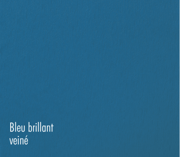 pvc_bleu_brillant-veine_batistyl_habitat