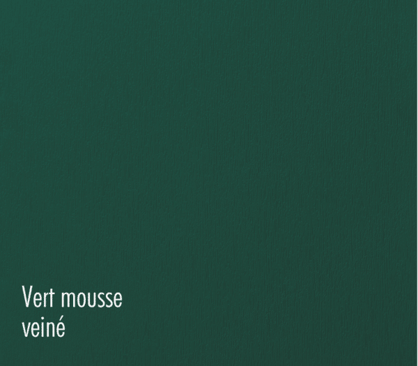 pvc_vert_mousse_veine_batistyl_habitat